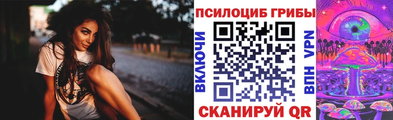 Купить закладки  Городовиковск  Галлюциногенные грибы ЛСД 