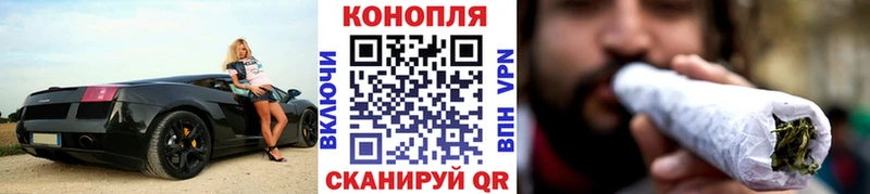 Бошки марихуана Ganja  Купить где  Городовиковск 